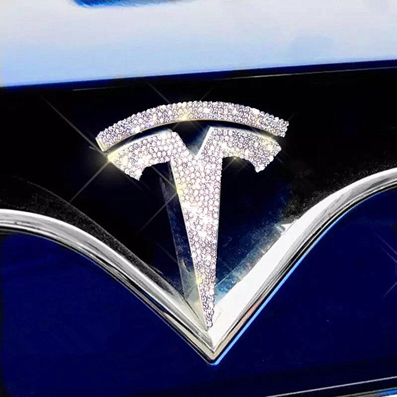 Bling Tesla LOGO Front Grille Rear Trunk Emblem Door Roof Interior Dec –  Carsoda
